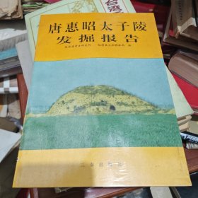唐惠昭太子陵发掘报告