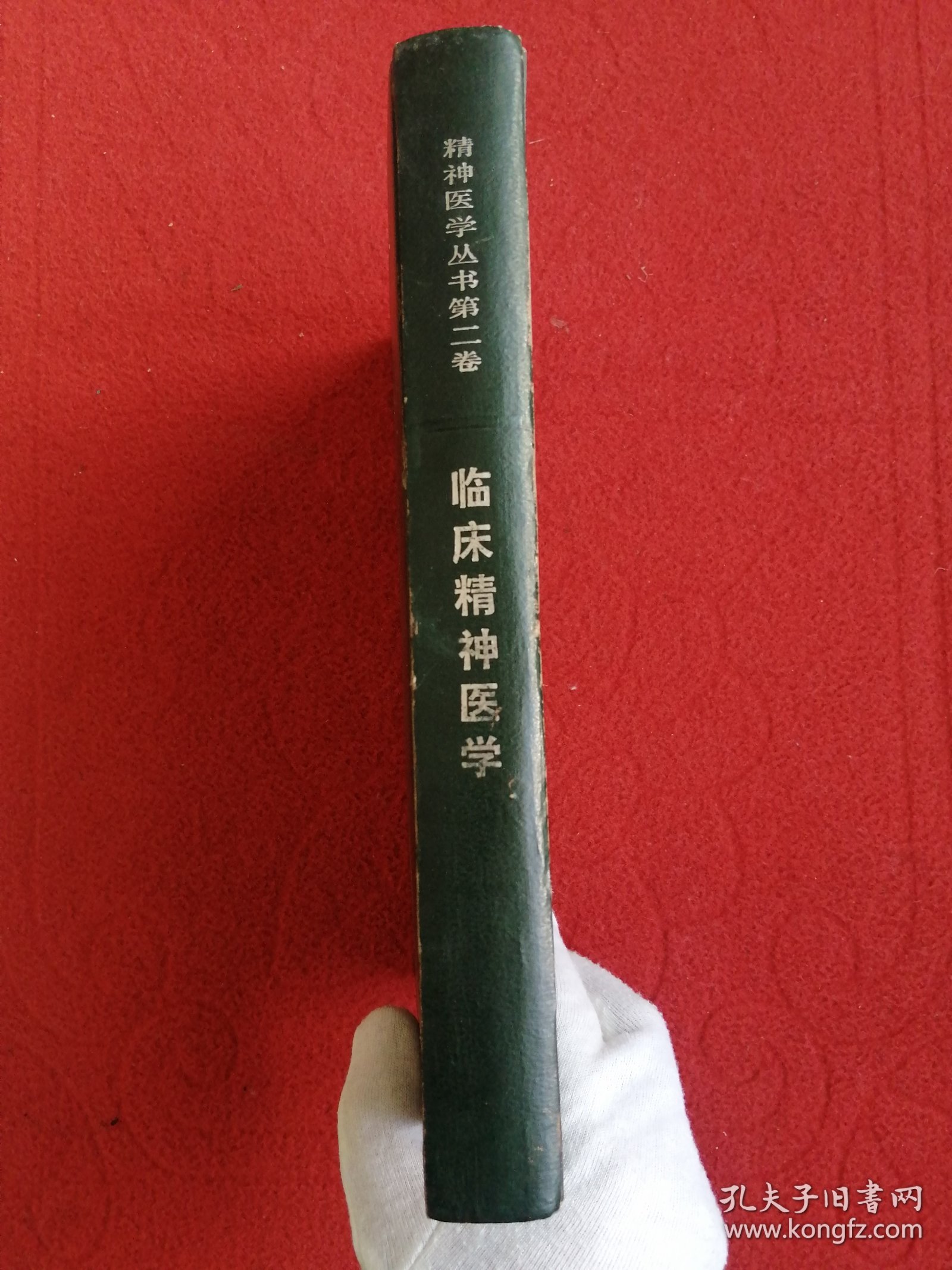 临床精神医学—精神医学丛书（2）