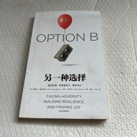 另一种选择