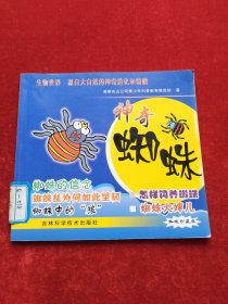 神奇的蜘蛛