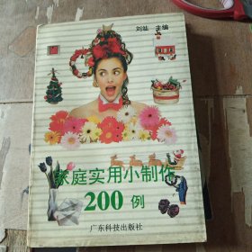 家庭实用小制作200例