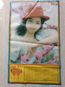 1991年塑料年历宣传画一张