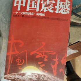 中国震撼：一个“文明型国家”的崛起