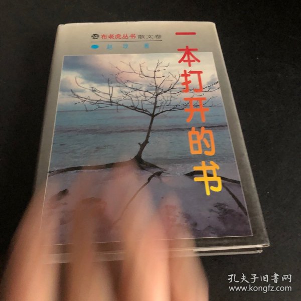 一本打开的书