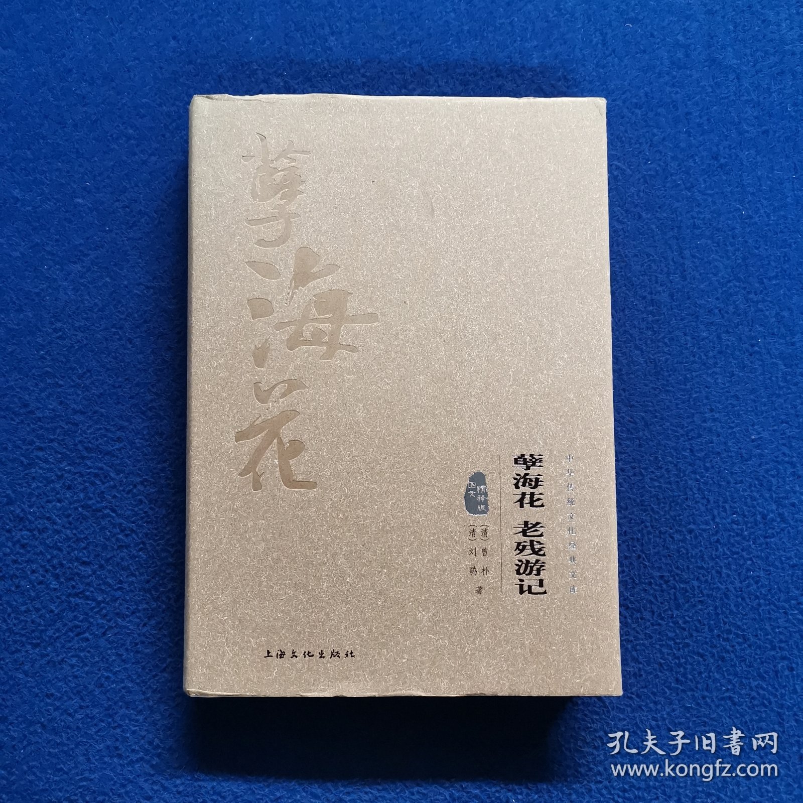 孽海花 老残游记