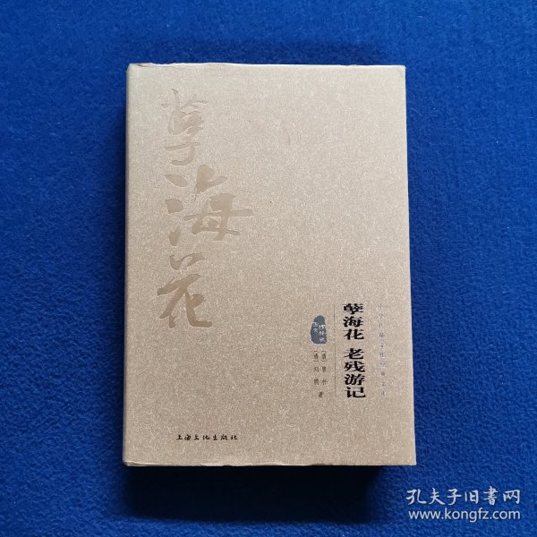 孽海花 老残游记