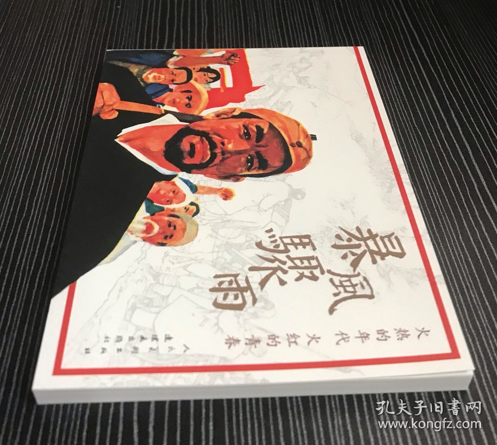 连环画《暴风骤雨》傅洪生绘画，人民美术出版社，全新正版。