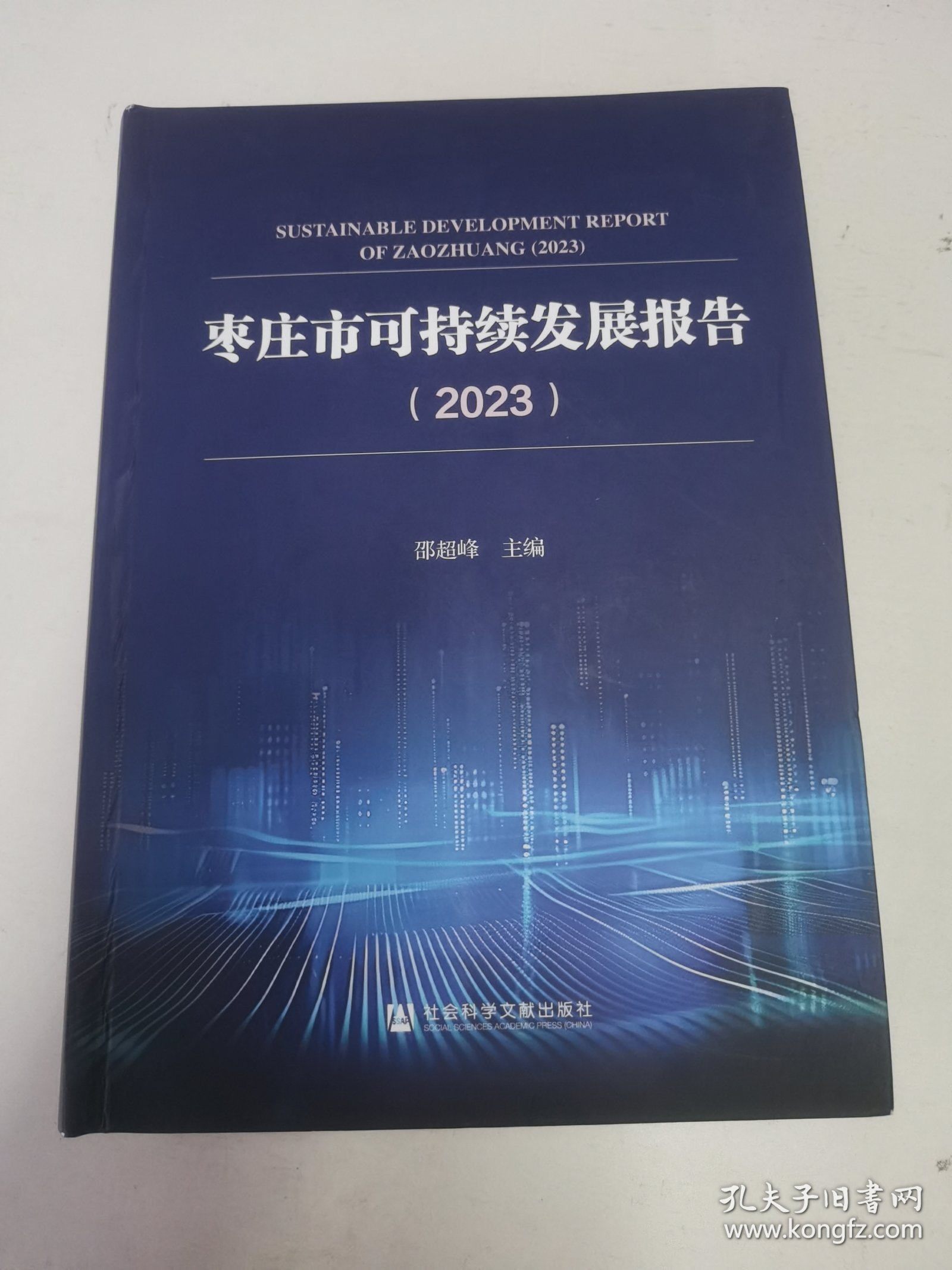 枣庄市可持续发展报告2023