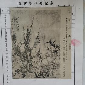 老剪报：百花迎春