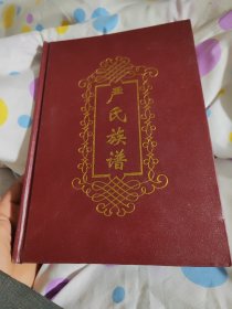 严氏族谱八五品168包邮(沾益炎方，云南宣威田坝，贵州盘县羊场乡。)