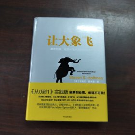 让大象飞:激进创新，让你一飞冲天的创业术
