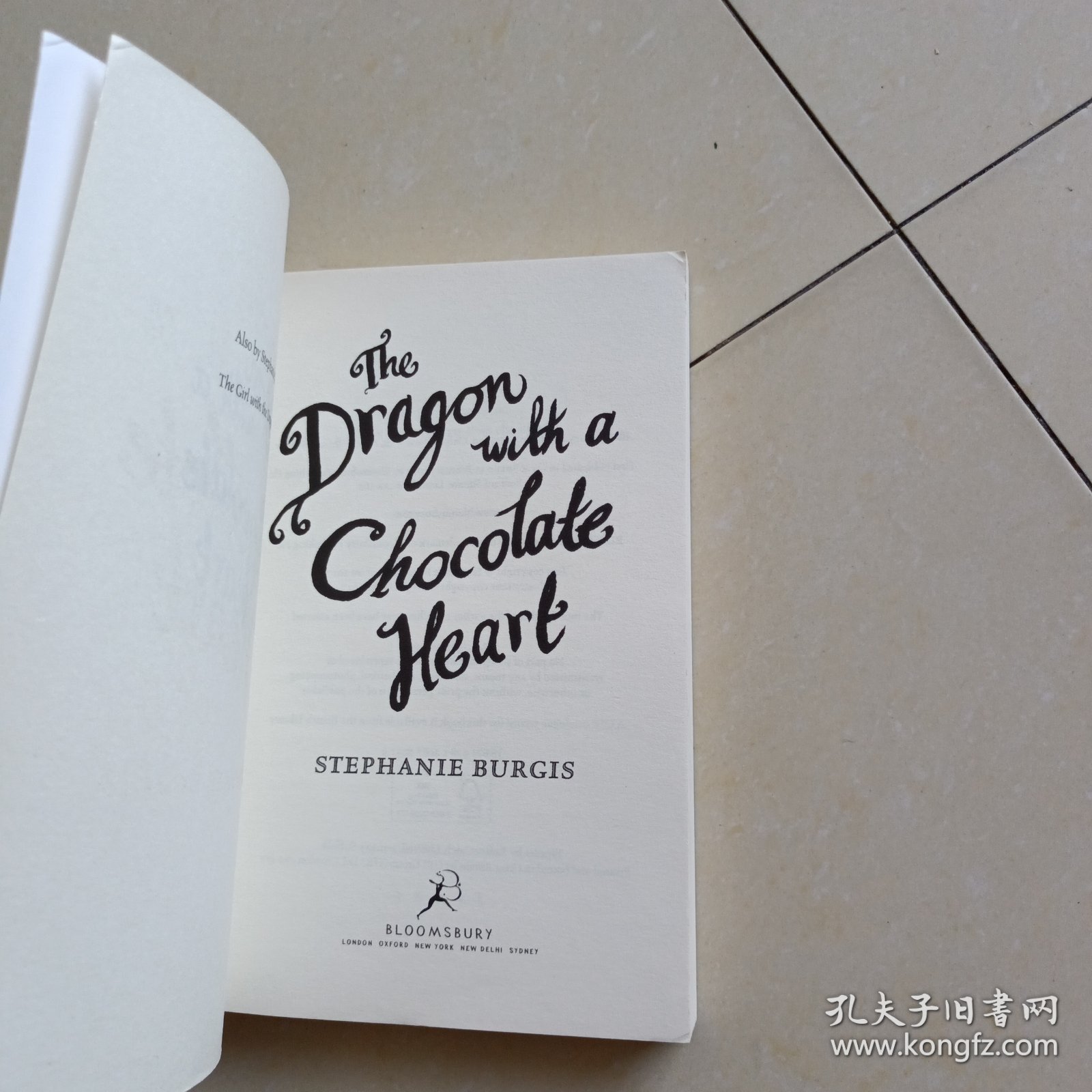 英文原版 The Dragon with a Chocolate Heart 恐龙心脏#1：有巧克力心脏的恐龙 奇幻故事 英文版 进口英语原版书籍