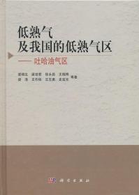 低熟气及我国的低熟气区——吐哈油气区