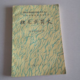 独龙族简史 中国少数民族简史丛书