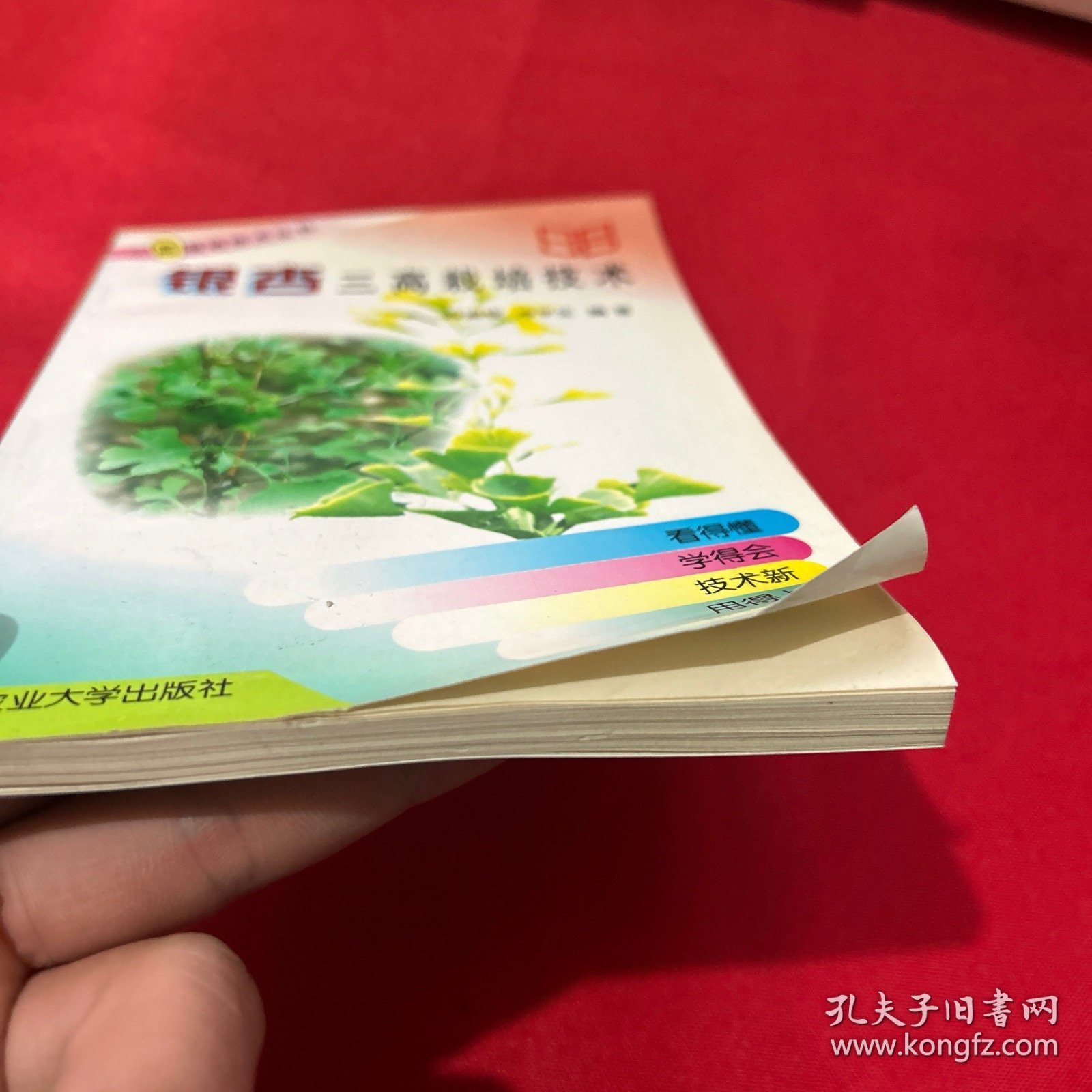 银杏三高栽培技术——三高栽培技术丛书