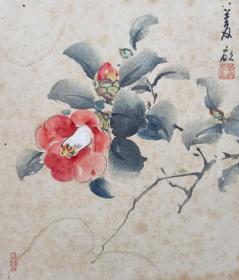 日本回流书画字画仙田菱亩国画《花卉》