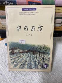 斜阳系缆