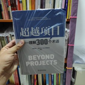超越项目----理解300个术语