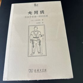 大月氏：寻找中亚谜一样的民族