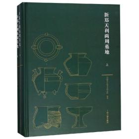 新郑天利两周墓地(全2册) 社会科学总论、学术 河南省文物古研究院 编著 新华正版