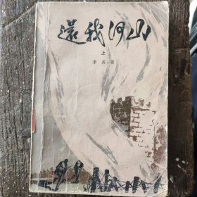 还我河山 上册