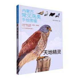 《内蒙古常见鸟类手绘图鉴-天地精灵》