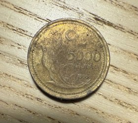 土耳其5000里拉（鄙视卖假币的）