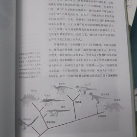 恐龙研究指南:带你走近1.6亿年的生活与演化