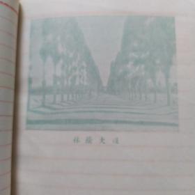 日记本《毕业纪念》(内页撕了一页如图)