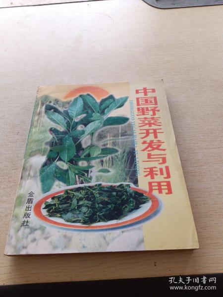 中国野菜开发与利用