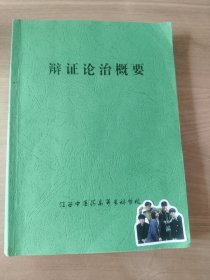 辩证论治概要