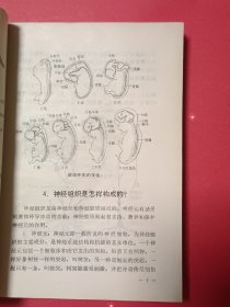 基础医学问答8神经系统