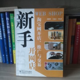 新手开网店