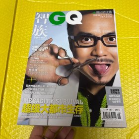 智族GQ 2011年 6月號總第213期 封面：湘公子汪涵 超級大都市生存 雜志