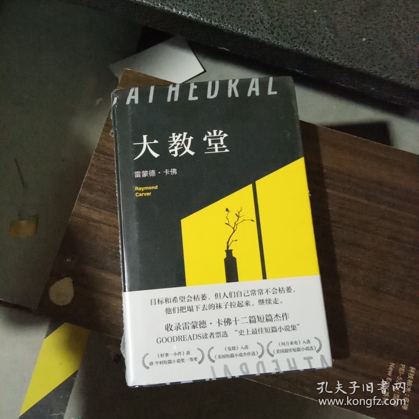 雷蒙德·卡佛：大教堂