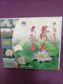 【光盘】VCD单碟盒装：中国白洋淀 荷花大观园