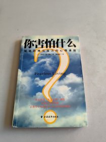 你害怕什么？：驱逐恐惧与压力的心理课程