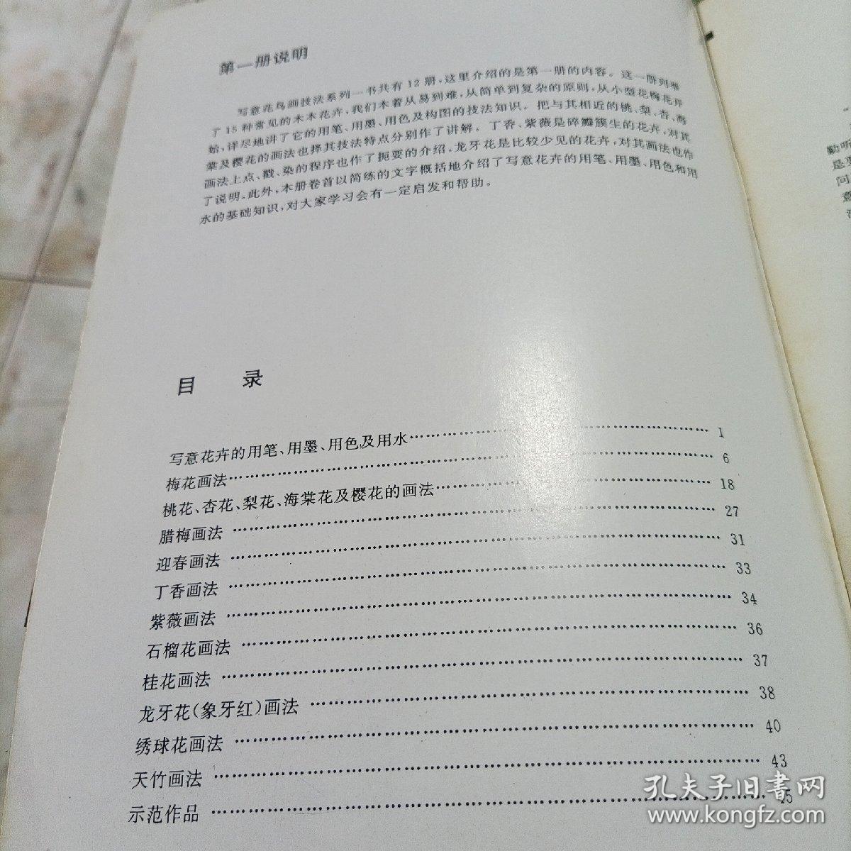 老年学书画：写意花鸟画技法《第一册》（第三册 草本花卉）《第五册  藤蔓花卉》