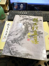 杨玉琪画集