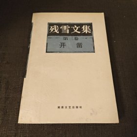 残雪文集 第三卷 开凿