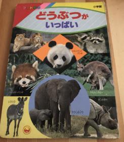 特价80年代日语原版儿童绘本《很多动物》