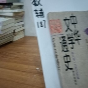 中华文学通史（全十册）