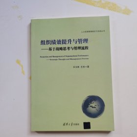 人力资源管理理论与实践丛书·组织绩效提升与管理：基于战略思考与管理流程