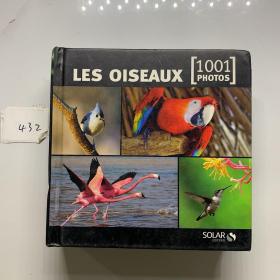 les oiseaux 1001 photos