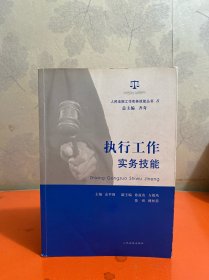 人民法院工作实务技能丛书（8）：执行工作实务技能