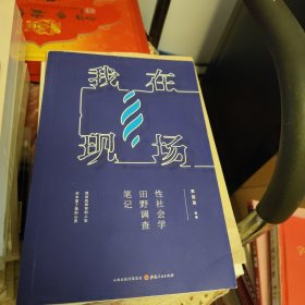 我在现场：性社会学田野调查笔记