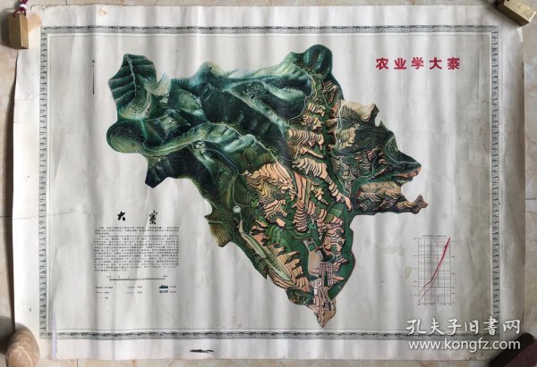 1972年大寨鸟瞰图 宣传画 大寨山水立体鸟瞰图 大寨地图 农业学大寨 稀见