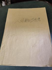 人体解剖学图谱