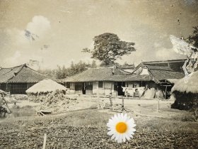 民国上海风景老照片嘉定青浦一带的农村风景(诗意画面，本照片取自上海的嘉定青浦一带，仅供参考，购者自辨)