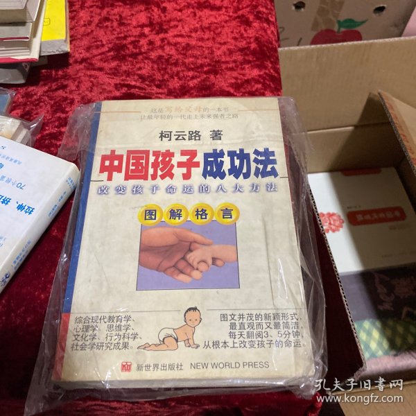 中国孩子成功法:改变孩子命运的八大方法:图解格言